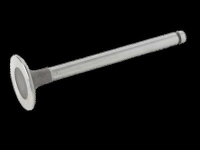 BGA EXHAUST VALVE (V165921)