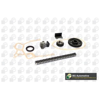 BGA TIMING CHAIN KIT (9113001012)