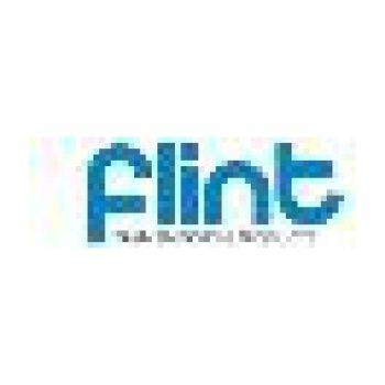 FLINT CLUTCH KIT  (9104008450)