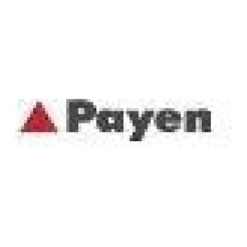 PAYEN Gasket Set (9112000384)