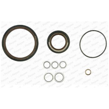 PAYEN Gasket Set (9112000421)