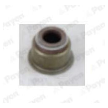 PAYEN Seal valve stem (9112000800)