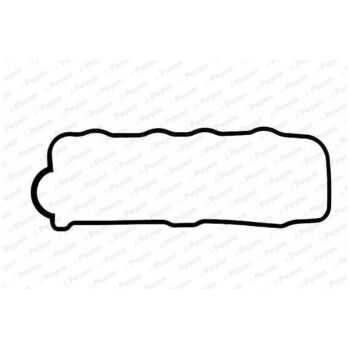 PAYEN Gasket Cylinder head cover (9112001591)