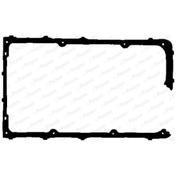 PAYEN Gasket Cylinder head cover (9112001620)