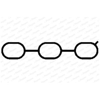 PAYEN Intake manifold gasket (9112005845)