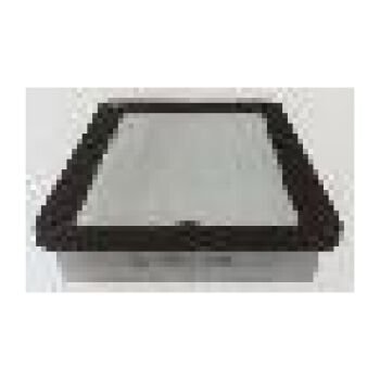 CHAMPION Air Filter (9102000765)