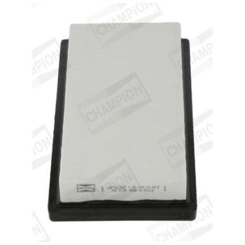 CHAMPION Air Filter (9102100155)