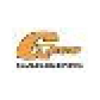 G TECH Oil Seal Crankshaft (9103000323)