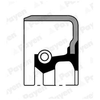 PAYEN Shaft Seal wheel hub (9103000701)