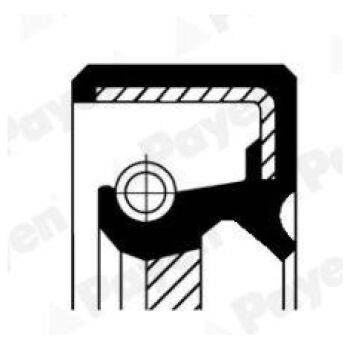 PAYEN Shaft Seal manual transmission (9103000720)