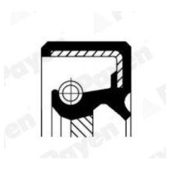 PAYEN Shaft Seal manual transmission (9103000739)