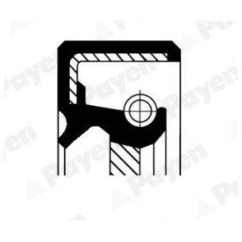 PAYEN Shaft Seal manual transmission (9103002745)