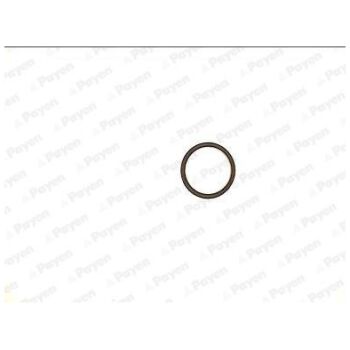 PAYEN Gasket exhaust pipe (9112000726)