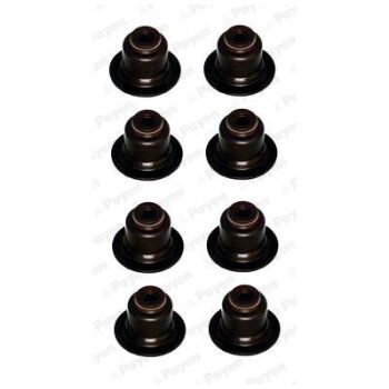PAYEN Seal Set valve stem (9112000838)