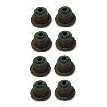 PAYEN Seal Set valve stem (9112000839)