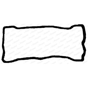 PAYEN Gasket cylinder head cover (9112001706)